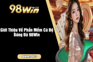 Giới Thiệu Về Phần Mềm Cá Độ Bóng Đá 98Win